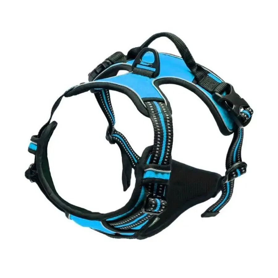 Explorin Dog Harness