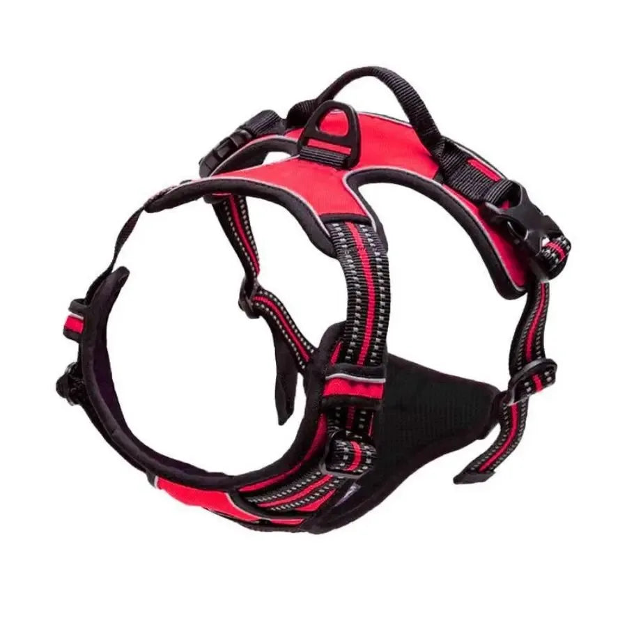 Explorin Dog Harness