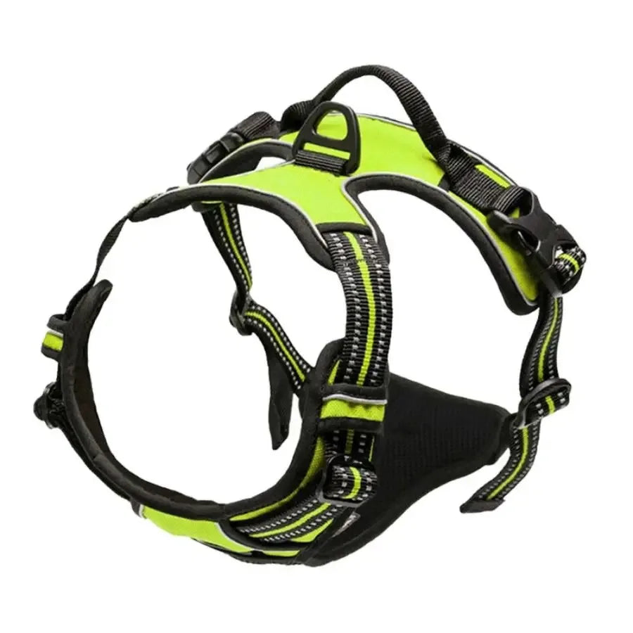Explorin Dog Harness