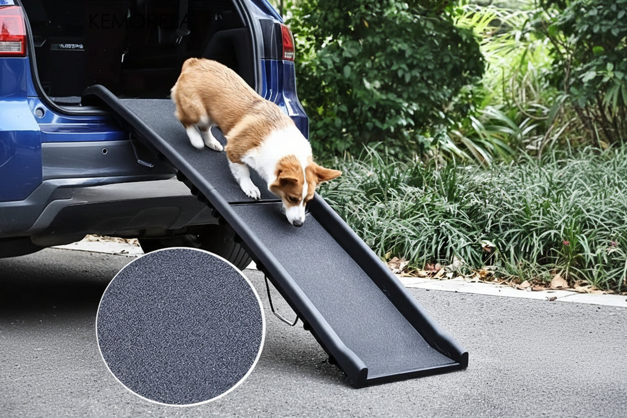 Folding Pet Ramp
