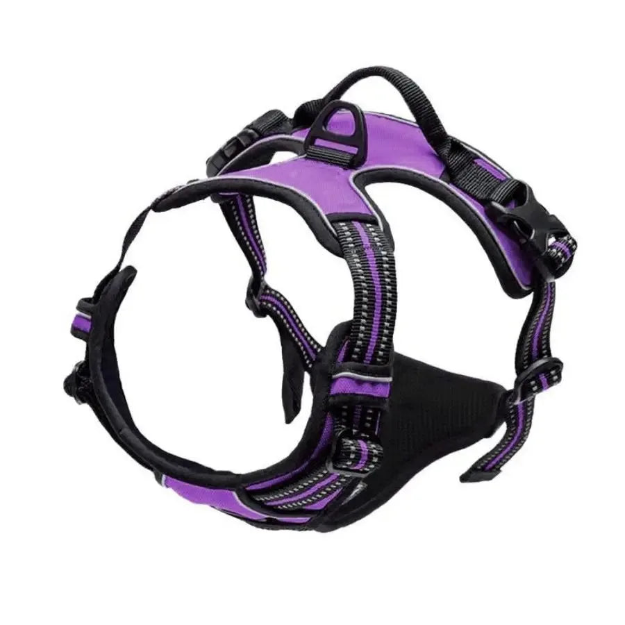Explorin Dog Harness