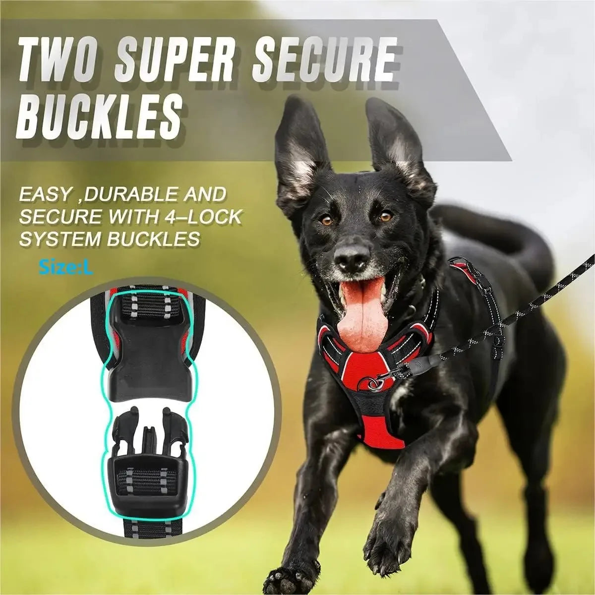 Explorin Dog Harness