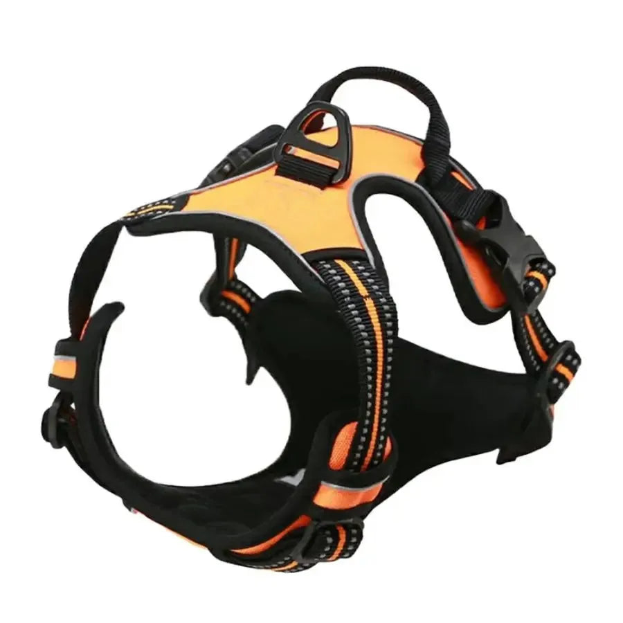 Explorin Dog Harness