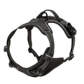 Explorin Dog Harness