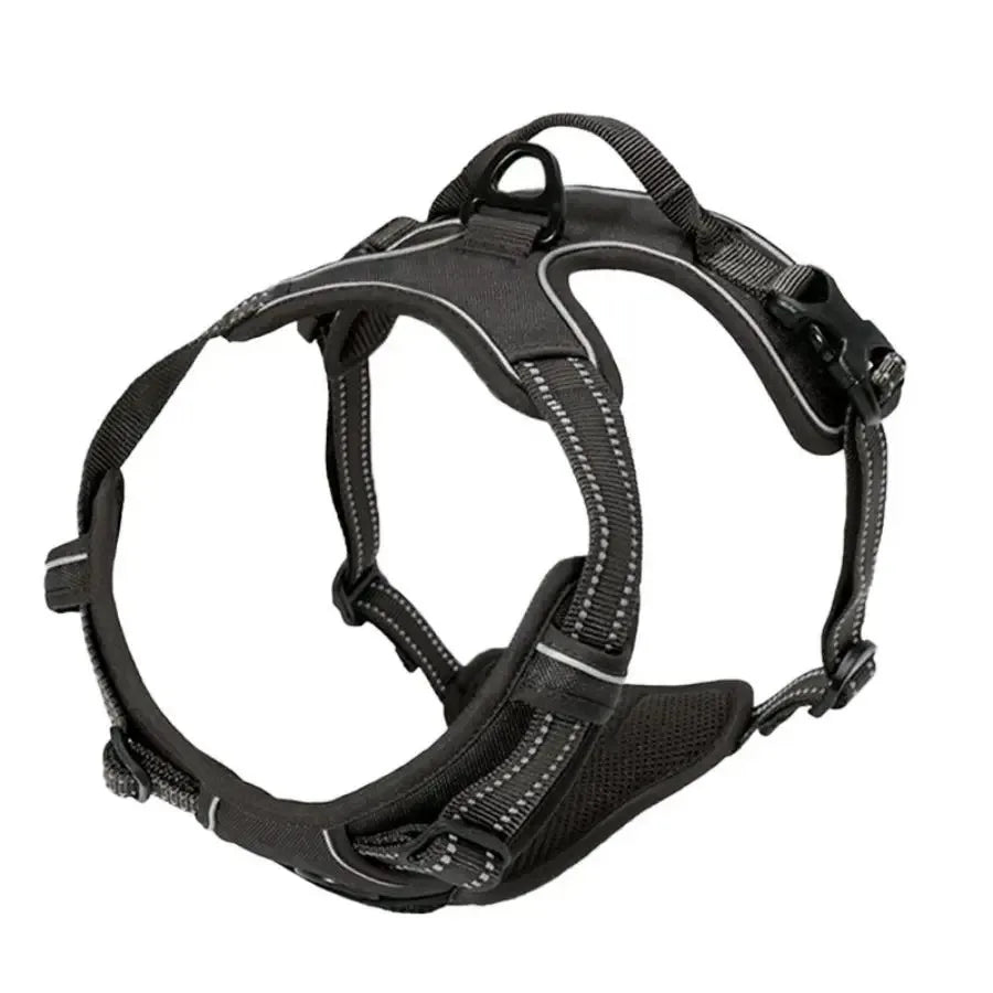 Explorin Dog Harness